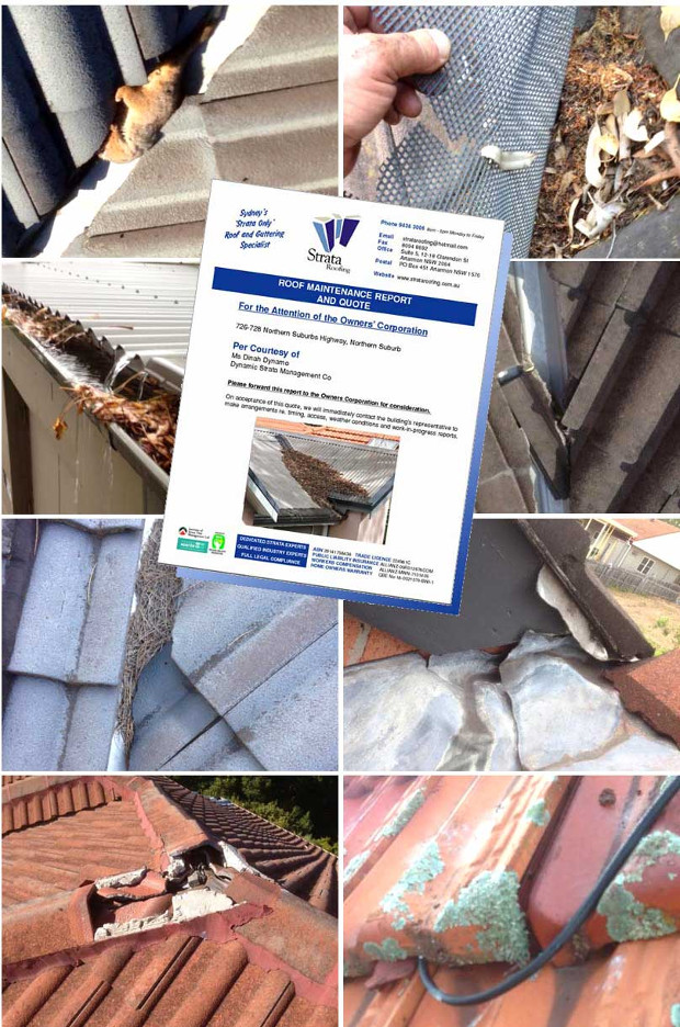 Quote-damage-photo-comp-620